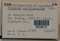 Image Associated With the Occurence